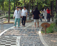 서울시, 공원 59곳 지압로등 정비 시민 개방