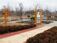 한국맥도날드대전센트럴 | [대전]대전의 ‘센트럴파크’ 활짝 열린다