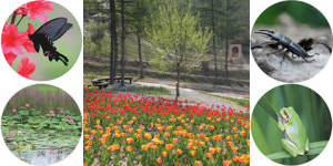 [레저]여주에 관람면적 5만여평 해여림식물원 개원