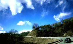 우리가족 여름휴가 렌터카로 떠나볼까