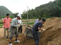 노인 말벗 하고… 과수원 풀 뽑고…