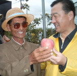 제천사과 북 고성에 열렸다