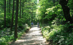 충주에 명상센터 추진