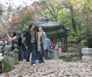 문 열린 비원… 시민들 가을정취 만끽