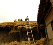 햇짚으로 겨울채비 까치구멍집