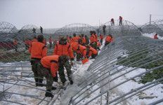 16일째 폭설 고창·나주…눈이 무섭기는 난생 처음