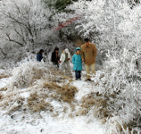 대관령 사계절 생태관광지로