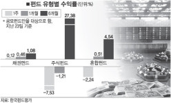 펀드투자 전략 …포트폴리오 재조정 기회로