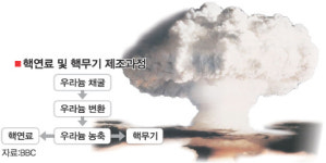 독일, 이란 군사공격 지지