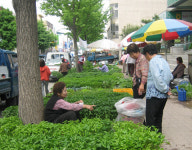 모종 시장 ‘북적’