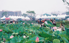 뜨거운 여름 지방축제 속으로 풍덩