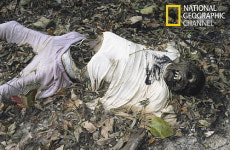 다큐멘타리도 납량특집 있다?