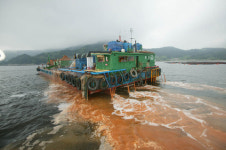 적조 꼼짝 마! 황토 나가신다