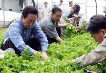 農心 곁으로 간 고건