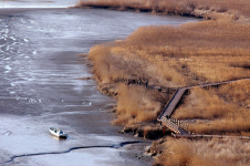 순천만 갈대축제 개막..생태체험 가득