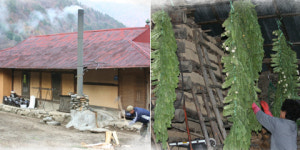 세상을 잊고 살면 어떠랴세상이 날 잊으면 또 어떠랴