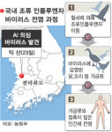 의사 조류 인플루엔자, 진성 판명 땐 축산농가 치명타