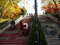 A학점의 전설 한양대 88계단