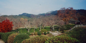 [홍윤기의 역사기행 일본 속의 한류를 찾아서]日백제왕족 위한 사찰 세워 성지로 관리