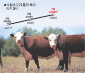 독우정육점 | 소고기 수입 호주産 ''독주''