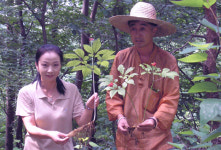 산삼재배로 年 30억 매출