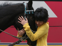 [토요명화]헤어진 말 찾아 최고기수 도전하는 목장 소녀