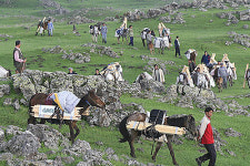 [동영상]현대판 노아의 방주 만드는 사람들