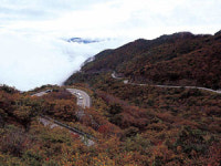 지리산 성삼재 관통로 어찌하나