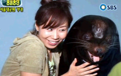 [동영상]웃는 물개 보셨나요?
