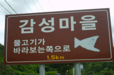 이외수씨 감성마을의 물고기 이정표