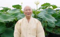 연꽃과 나누는 無慾의 대화