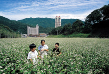 [레저]효석문화제 9월 7일부터 개최돼