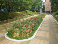테마공원 나들이 오세요… 송파구 4곳 새로 개장