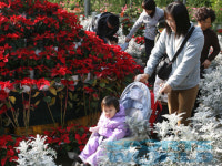 세계꽃식물원, 보석보다 화려한 꽃들의 천국