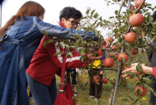 경북 농촌체험 원더풀