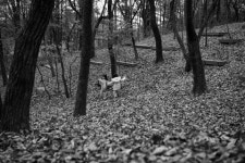 [작가임동헌의우리땅우리숨결]경기 양평 강하면 바탕골예술관