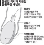 윤봉길 의사 의거때 도시락 아닌 물통폭탄 사용