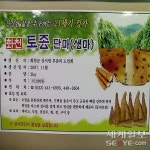 시골 노인회 휴경지 이용, 경비 마련