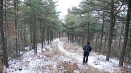 [경기20산 탐방] ⑪안양 수리산