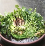 춘곤증 쫓는 ‘향긋한 보약’