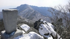 1.3Km...경기最長 하트브레이크드
