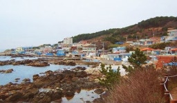 또 가고 싶은 동해 아름다운 어촌 4곳