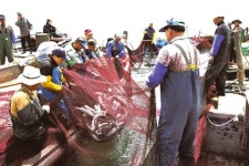 지자체 봄 축제 절정… 우리 땅 어디가도 흥겹고 싱그럽네