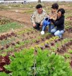 상추야, 셀러리야 쑥쑥 자라거라