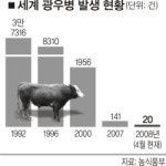 30개월 이상 소 수입 왜…우리 입맛 맞아 광우병에 취약