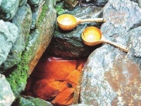 심신요양원의 요람, 강원도 인제