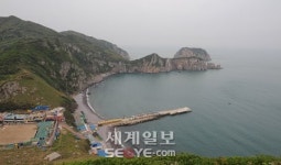 '바다위 금강'… 섬에서 길을 잃다