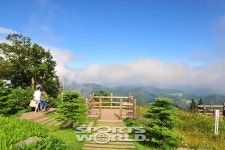 [뉴스플러스①]용평 드래곤피크, 더위가 오르기엔 너무 높구나