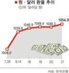 원·달러 환율 34개월만에 최고