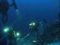 미지의 생물을 찾아 태평양 심해 속으로